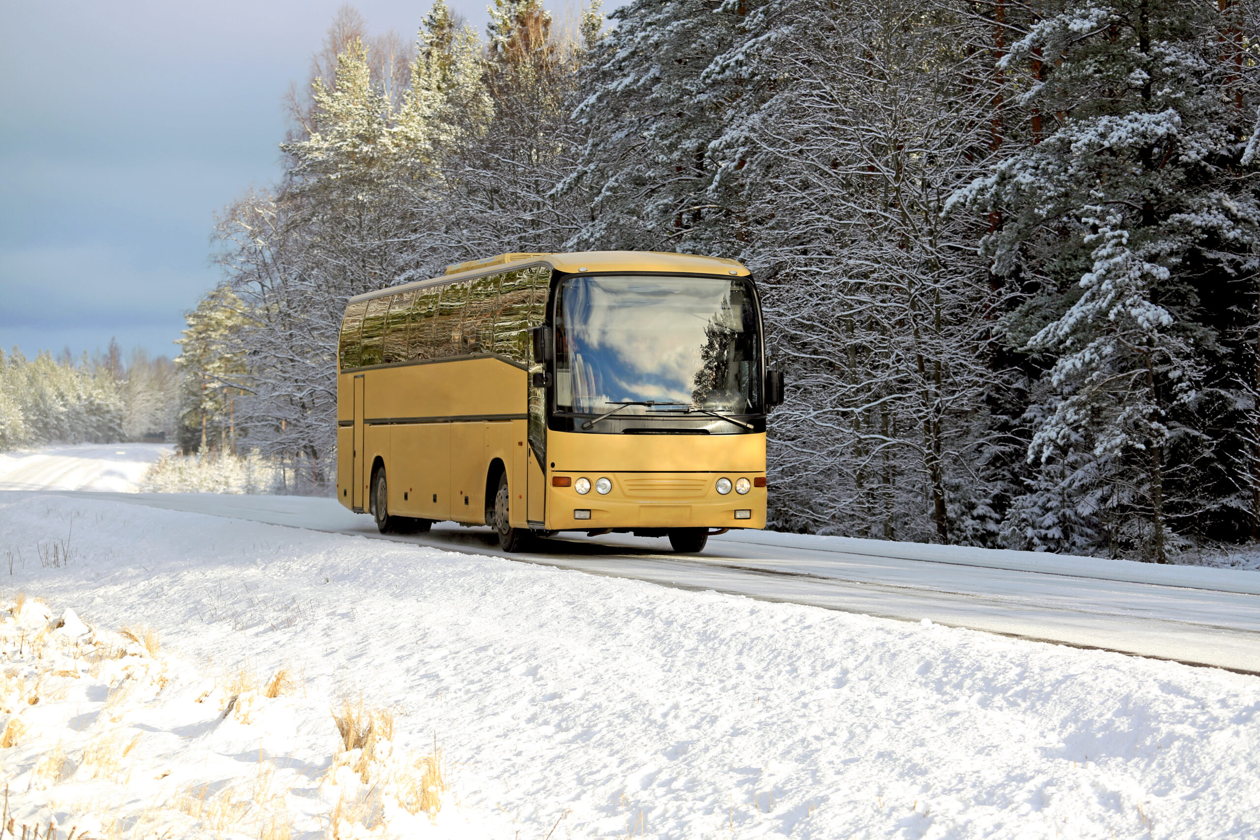 Coach holidays for Christmas: why uniform is vital